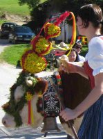 Fuikl 2 - web.jpg